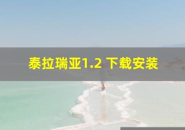 泰拉瑞亚1.2 下载安装